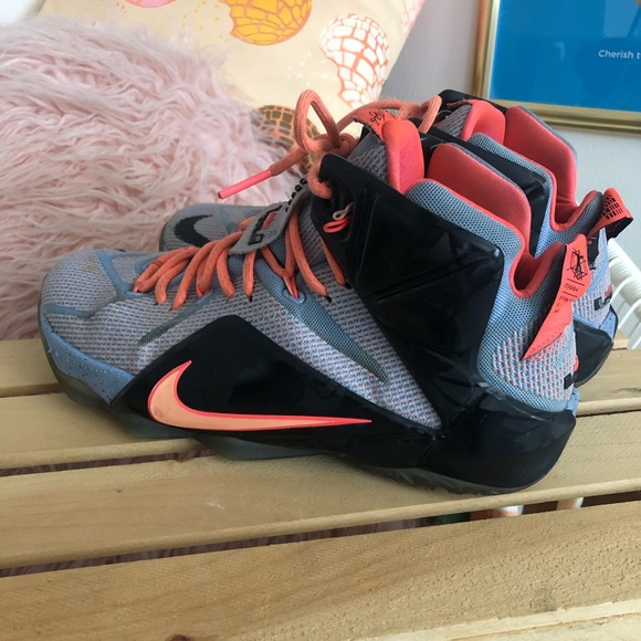 lebron 12 easter shirt
